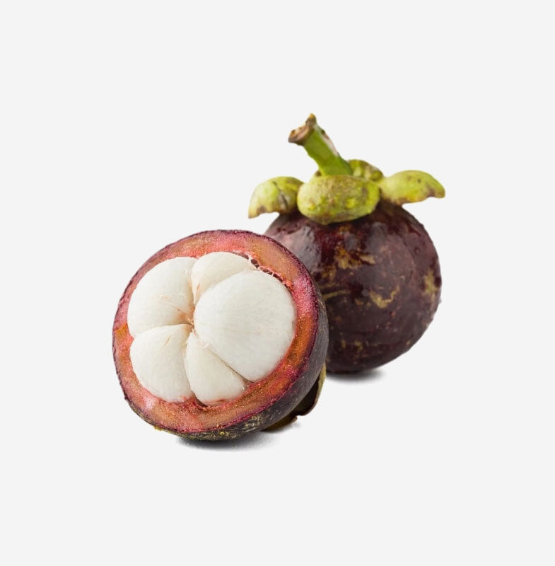 Mangosteen