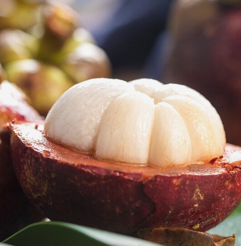 Mangosteen