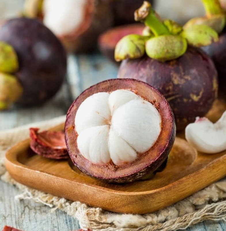 Mangosteen