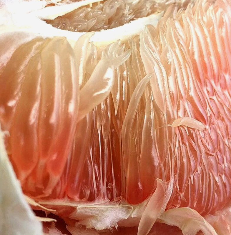 Grapefruit